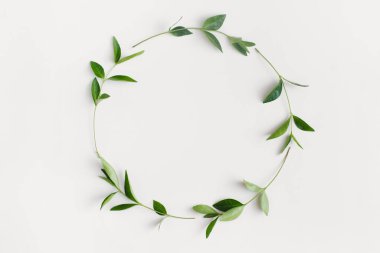 Beyaz arka planda yeşil yapraklı dallardan yapılmış çelenk çerçevesi. Düz konum, üst görünüm, kopyalama alanı.