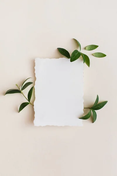 Mock-up invitación, tarjeta de felicitación en blanco y hojas verdes sobre fondo beige. Plano, vista superior, espacio para copiar — Foto de Stock