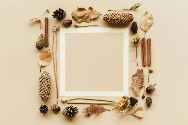 Autumn composition. Frame made of acorn, cone, dried leaves, dried flowers on pastel background. Autumn, fall concept. Flat lay, top view, copy space, square. Stock Picture