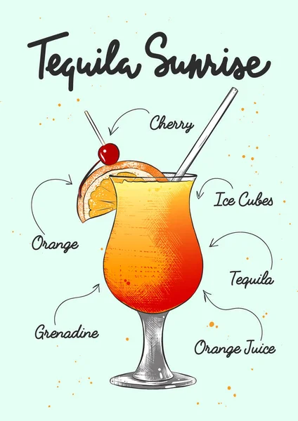 Vektor Graverad Stil Tequila Sunrise Cocktail Illustration För Affischer Dekoration — Stock vektor