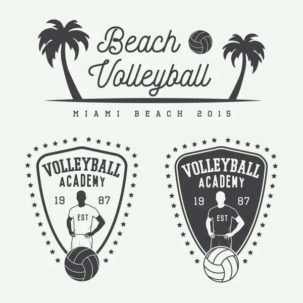 Set of vintage volleyball labels, emblems and logo. — Stock Vector