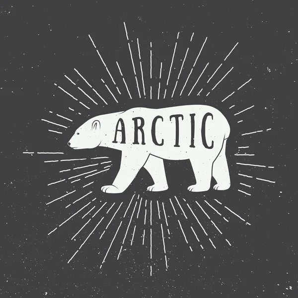 Vintage arctic white bear with slogan. — Stock Vector