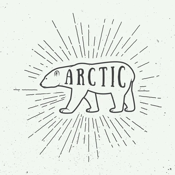 Vintage arctic white bear with slogan. — Stock Vector