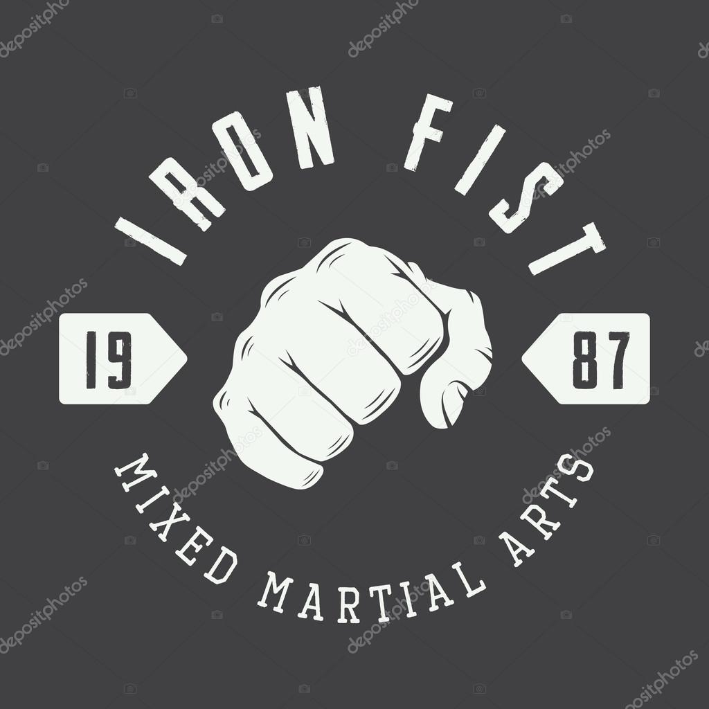 Boxing and martial arts logo, badge or label in vintage style.