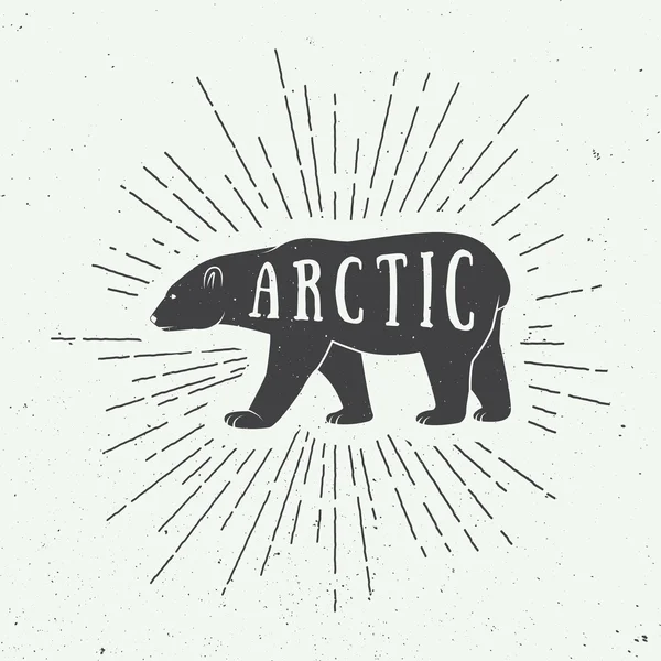 Vintage arctic white bear with slogan. — Stock Vector