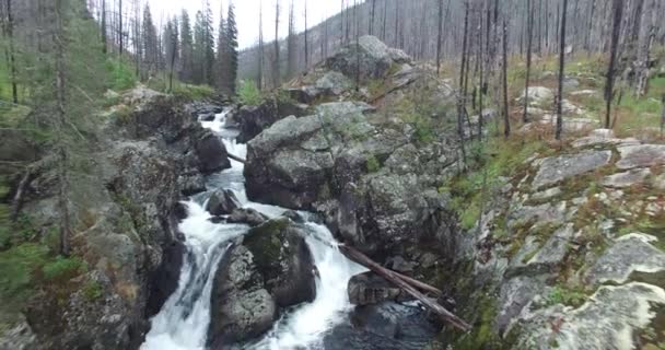 Wasserfall in den Bergen des kasachischen Altai. — Stockvideo