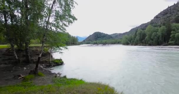 Bukhtarma rivier. Oost-Kazachstan. — Stockvideo