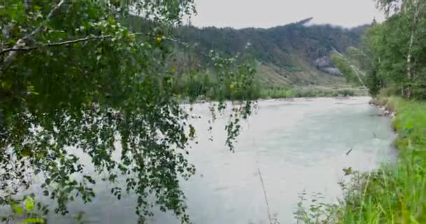 Bukhtarma rivier. Oost-Kazachstan. — Stockvideo