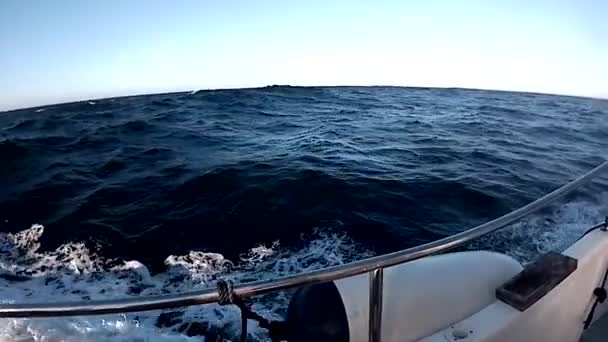 ベルレンガス島へのボート旅行ポルトガル — ストック動画