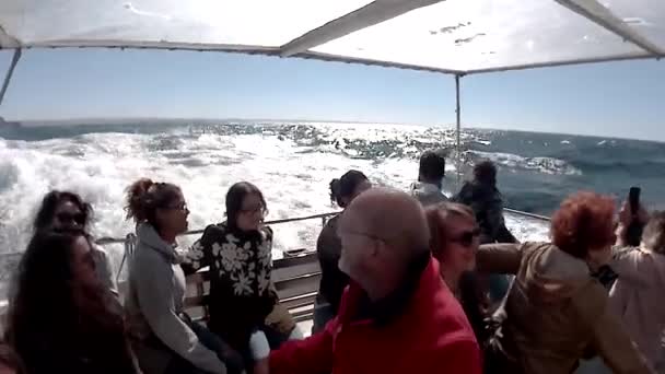 ベルレンガス島へのボート旅行ポルトガル — ストック動画