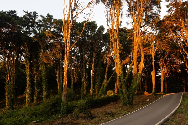 Sonnenuntergang Der Serra Von Sintra Portugal — Stockfoto