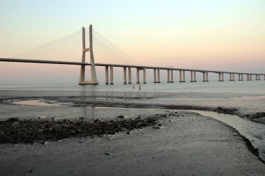 Bridge vasco of gama