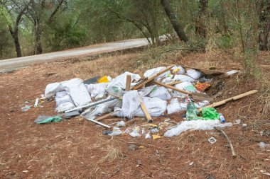 Pile of garbage polluting a forest near a road, environmental problem