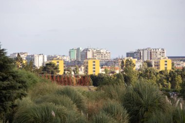 Modern buildings of lisbon rise above the trees and shrubs of parque eduardo vii, creating a captivating blend of urban and natural elements