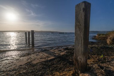 Wooden pilings in a calm bay at low tide, with sunlight reflecting on the water