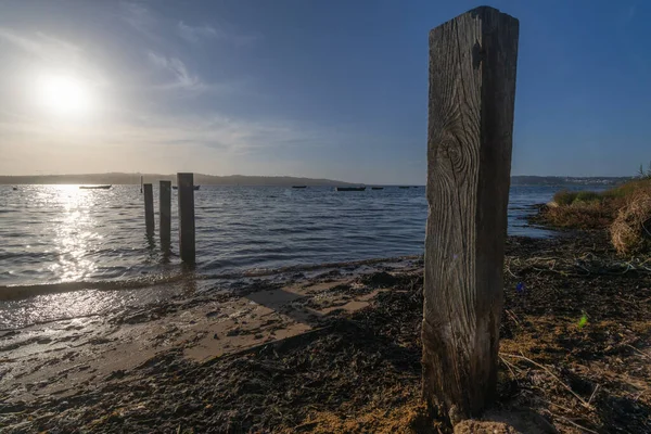 Wooden pilings in a calm bay at low tide, with sunlight reflecting on the water