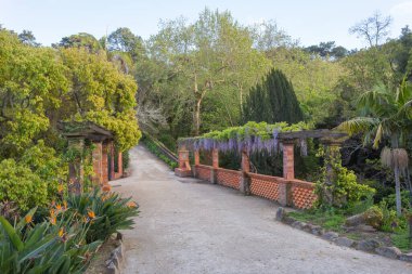 Monserrate Park Bahçesi yolu yemyeşil bitki örtüsü ve salkımın çiçek açmasına öncülük ediyor