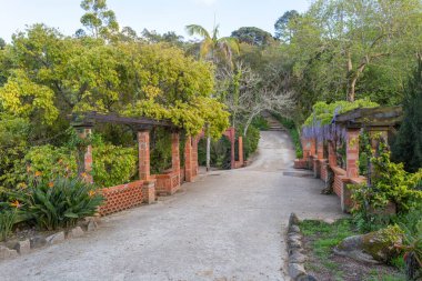 Monserrate parkında çiçek açan bitkilerle dolu bir pergola boyunca uzanan bahçe yolu.