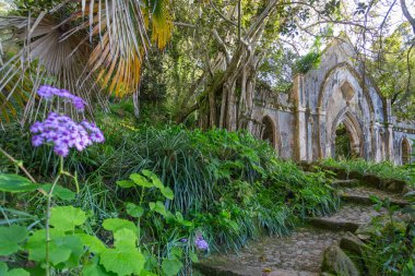 Kilise kalıntıları ve yemyeşil bitki örtüsü Monserrate Parkı 'nda dingin ve mistik bir yol oluşturuyor.