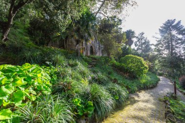 Bereketli yeşil bahçe yolu subtropikal bitkilerden Monserrate parkındaki eski bir harabeye doğru dönüyor.