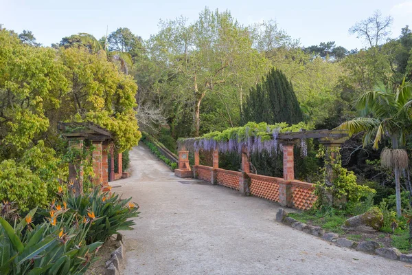 Monserrate Park Bahçesi yolu yemyeşil bitki örtüsü ve salkımın çiçek açmasına öncülük ediyor