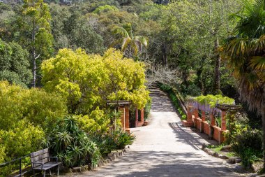 Monserrate park yolu çeşitli ağaçların arasından süzülüyor ve çiçek açan salkımlar, huzurlu bir bahçe manzarası yaratıyor.