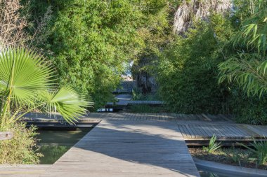 Tahta yürüyüş yolu, yemyeşil bir bahçede suyla çevrili.