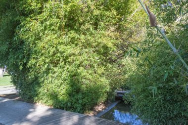 Lizbon 'daki su bahçelerinde bambu bitkileri ve ahşap yolu olan küçük bir dere var.