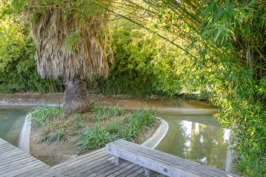 Su bahçeleri sakin havuz ahşap bank, bambu ve Washingtonia palmiyesi fuar 98, Lisbon