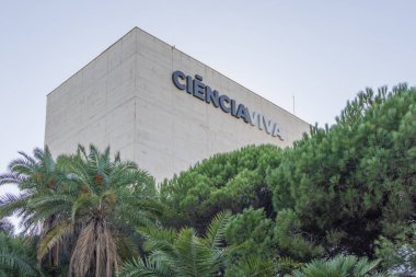 Ciencia Viva Bilim Müzesi 'nin dış tarafındaki palmiye ve çam ağaçlarının tanımlanması