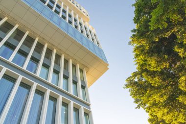 Lizbon 'da inşa edilen seguroların modern mimari cephesi, yeşil ağaçlı Portekiz