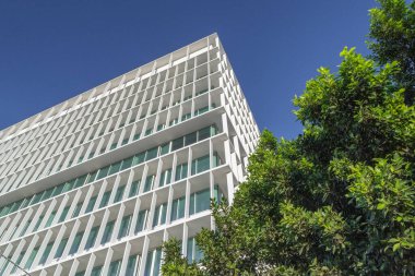 Canlı yeşil bir ağacı tamamlayan çağdaş bir gökdelenin beyaz ızgara desen cephesi