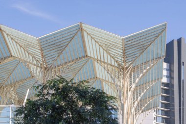 Çelik ve cam elementlere sahip Oriente tren istasyonunun modern çatı yapısı