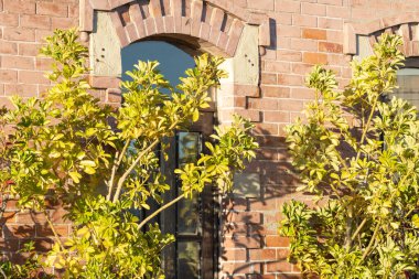 Kemerli pencereli tuğla bina cephesi, yeşil yapraklar ve sıcak güneş ışığı.