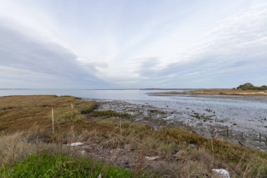 Suda gel-git çamur düzlüğü, tuz bataklığı ve bulutlu gökyüzünün altında uzak bir ada bulunur.