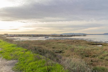 Carrasqueira palafitic port features traditional wooden structures on stilts during low tide