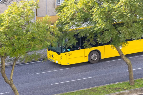 Yeşil ağaçlarla kaplı bir caddede yol alan sarı şehir otobüsü
