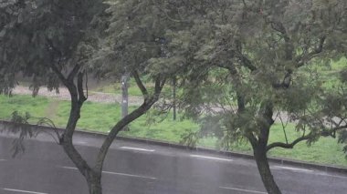 Yağmurlu bir sabahta, ağaçlar ve doğa ile çevrili, şehrin içinden sakin asfalt bir yol geçer..