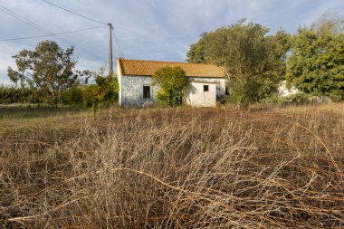 Eski kırsal bina, bakımsızlığı ve yıpranmış çatısı olduğunu gösteriyor.