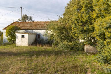 Döşeme çatılı bir kır evi ve bulutlu bir gökyüzünün altındaki kırsal alanda fazla gelişmiş bitki örtüsü.