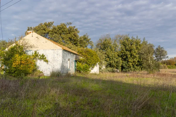 Aşırı gelişmiş bir kırsal alanda terk edilmiş, çürüyen eski bir kır evi.