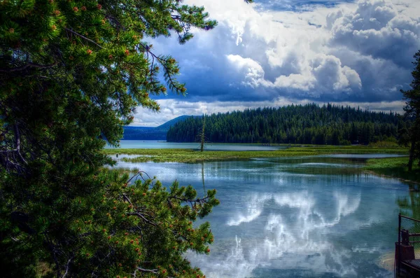 Reflection Trees Lake — Stock Photo, Image