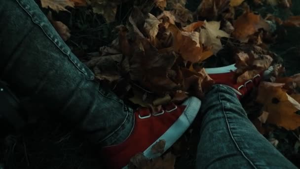 Spaziergang an einem bewölkten Tag. In roten Turnschuhen sitzt er auf gelben Blättern — Stockvideo