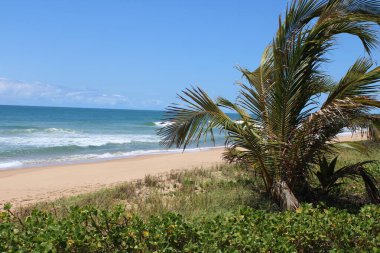 Brezilya 'da Çöl Sahili