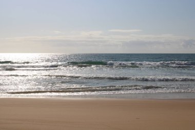 Brezilya 'da Çöl Sahili