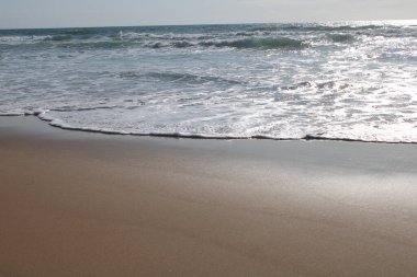 Brezilya 'da Çöl Sahili