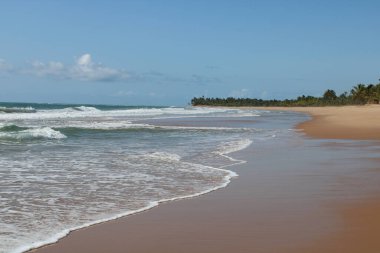 Brezilya 'da Çöl Sahili