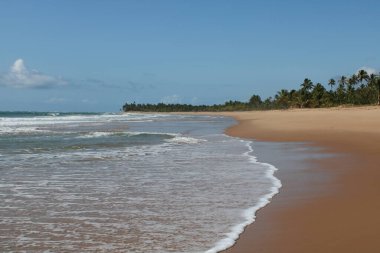 Brezilya 'da Çöl Sahili