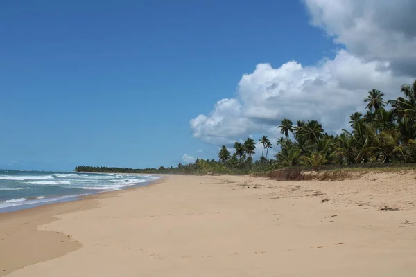 Desert Beach Brazílii — Stock fotografie