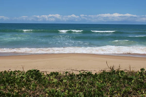 Brezilya 'da Çöl Sahili